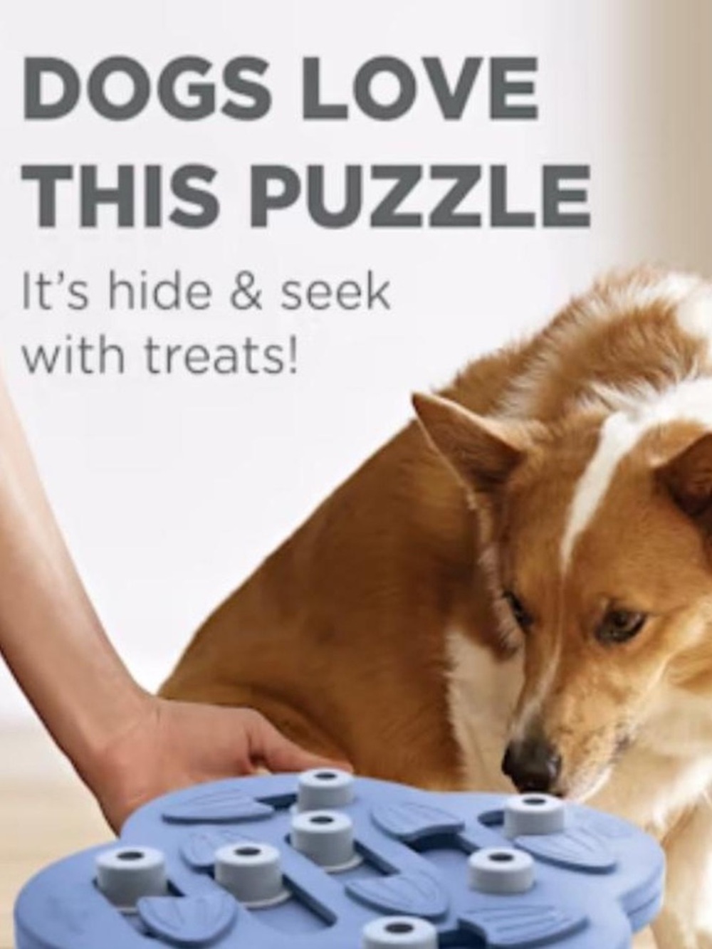 Treat-Searching Puzzle Toy for Dogs - Blue -